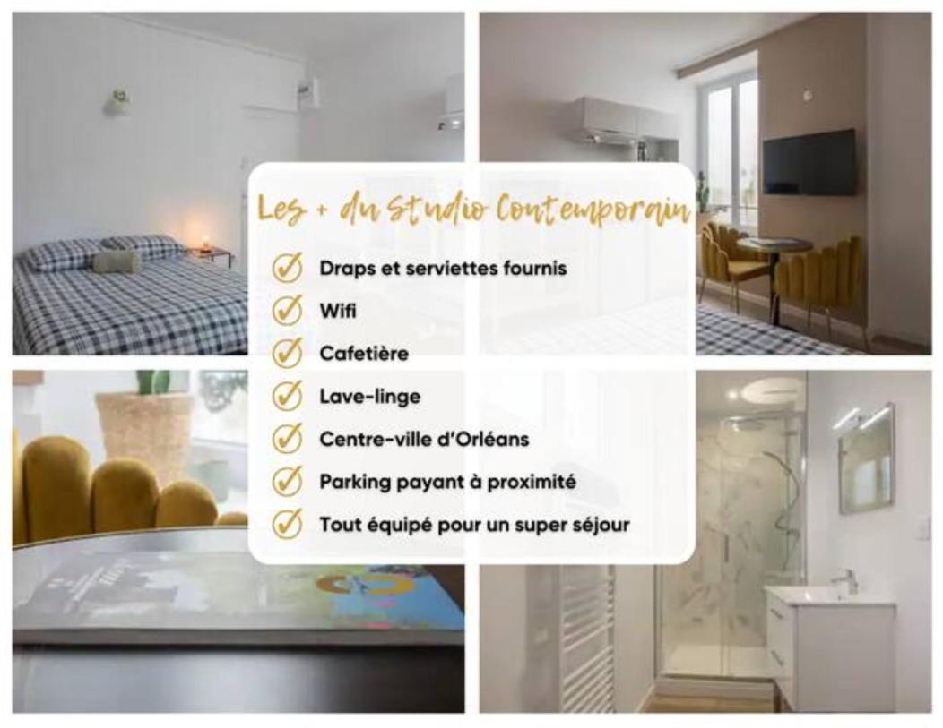 Studio Contemporain A Deux Pas De La Cathedrale Lejlighed Orléans Eksteriør billede